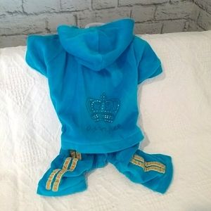 Turquoise velour dog tracksuit